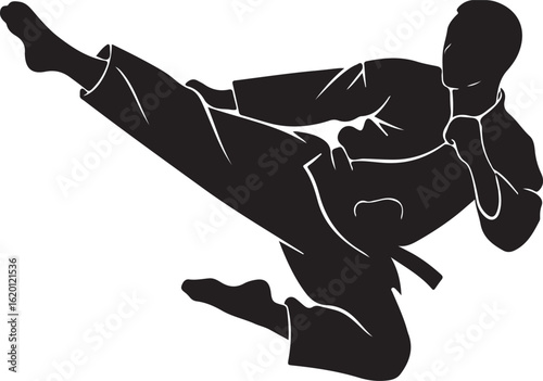 Black silhouette of a martial artist performing a flying side kick martial arts karate