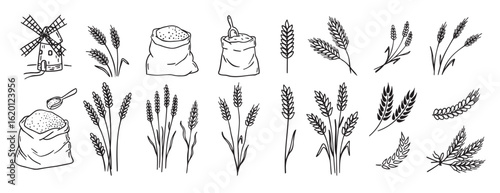 wheat and cereal plants, rye barley and ears of wheat in bag doodle hand drawn icon set. Outline drawing ears of wheat line clipart symbol collection