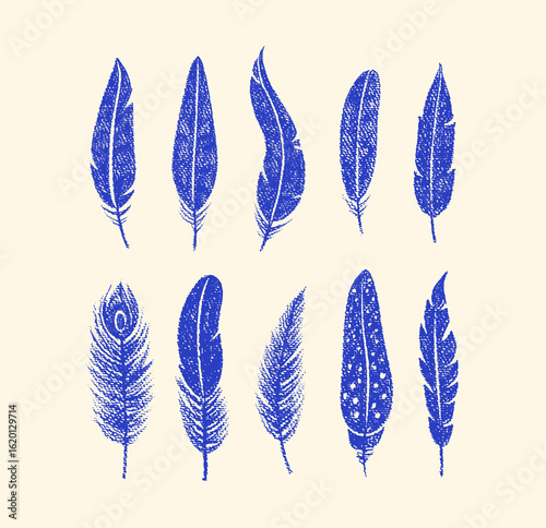 Bird feathers drawn with color crayon pencils. Pastel sketch of blue peacock, chicken, bird plumes. Set of boho feathers, quills with pattern and crayon or chalk texture, vector illustration