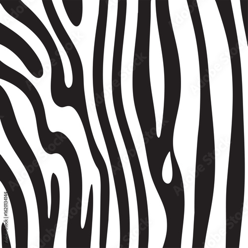 Zebra pattern stripes, wild animal print black and white. Zebra monochrome print, animal skin, tiger stripes, abstract pattern, line background, fabric. Poster, banner. Vector illustration EPS 10