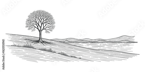 Bare Tree on Hillside Landscape with Water and Distant Hills, Black and White Vector Illustration