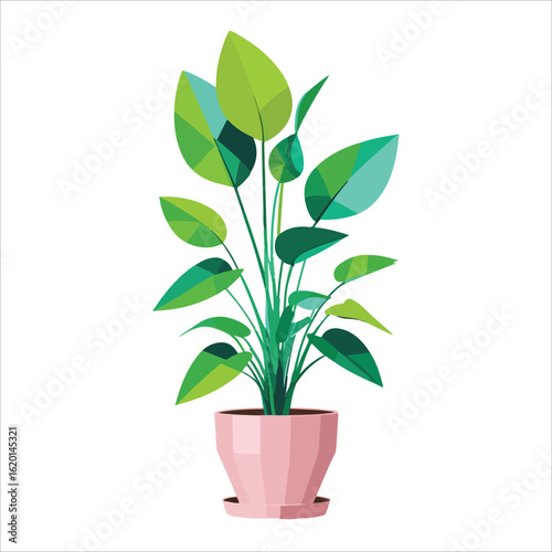 vector file