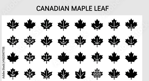 Canadian Maple Leaf Icons - Solid Black National Symbols