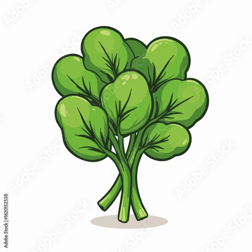 Fresh spinach bunch with vibrant green leaves and detailed texture. Spinach is nutritious and versatile for salads, smoothies, or cooking. Concept spinach for healthy eating and meal planning.