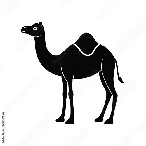 Black and white illustration of a camel with one hump in desert