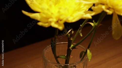 Yellow chrysanthemum in a glass of water on a table. Close up on green delicate stem