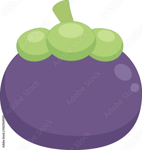 vector illustration of a mangosteen