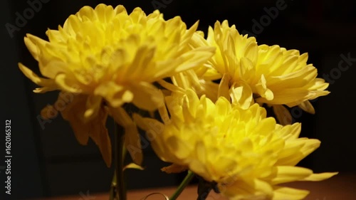A glass holding a yellow chrysanthemum stands on a wooden table, bathed in faint lamp light that creates delicate shadows in the low lighting