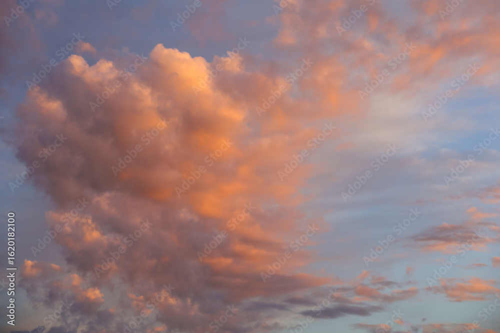 Fototapeta premium Bright pink and red clouds during sunset or sunrise in a blue sky. Dramatic sky with colorful cloud formations. Nature and sky scenery. Beautiful and moody atmospheric weather