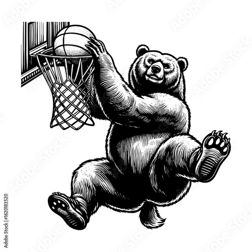 brown grizzly bear playing basketball and doing slam dunk retro Style Black and White Engraving Illustration
