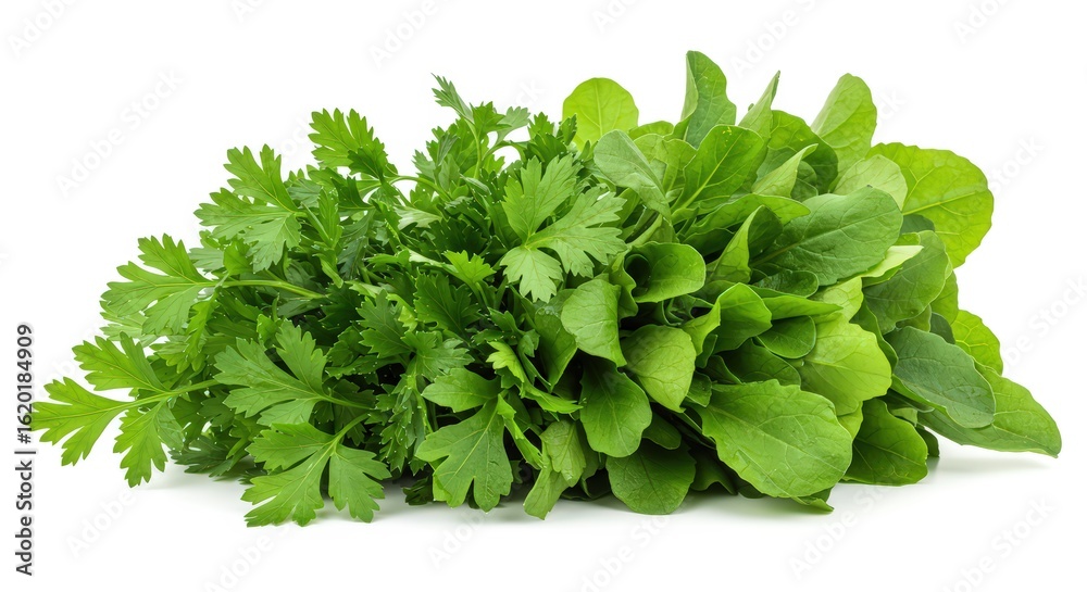 Obraz premium Fresh green herbs closeup