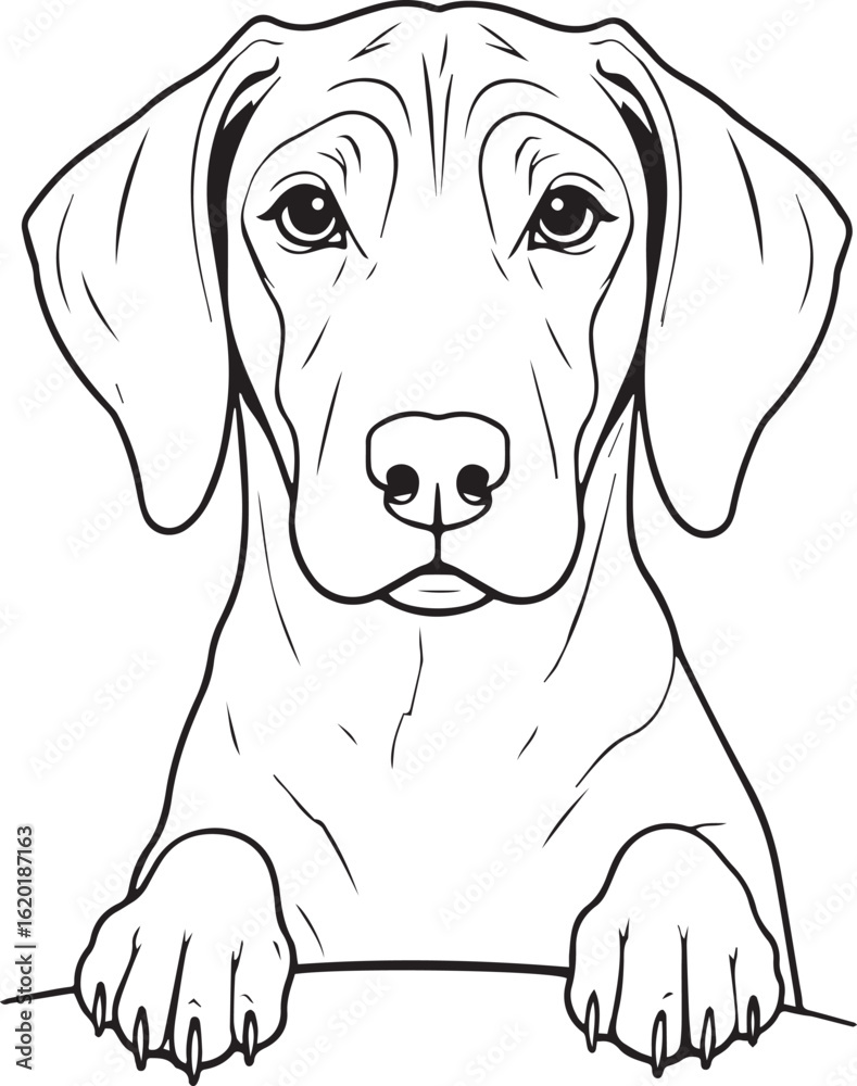 Fototapeta premium Coonhound Dog SVG EPS Line Art Peeking Dog Clipart, Vector Graphics, Sublimation, Digital Download Mug Printing Tshirts Design Mascot Tattoo Transparent Background