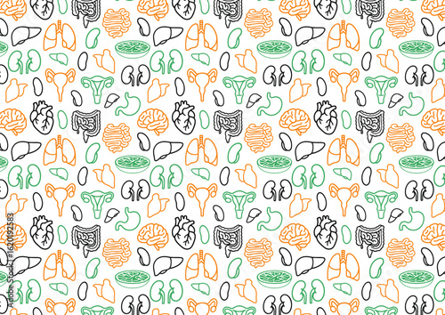 Seamless vector pattern of human organs brain, heart, lungs, liver, kidneys, stomach, intestines, uterus, and pancreasde outlines colors for print on febric
