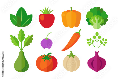 Collection of fresh vegetables and greens isolated on white background