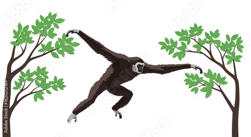 Gibbon monkey swinging between trees. Jungle animal illustration showing dynamic movement, lush foliage, and primate behavior in natural habitat. Wildlife and ecosystem concept. Vector illustration.