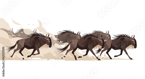 Wildlife illustration set. Vibrant herd of galloping wildebeests raising dust as they run through a savanna landscape. African migration and wildlife movement concept. Vector graphic.