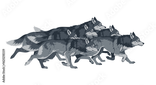 Wolf pack illustration. Group of gray wolves walking in unison with focused expressions, depicting teamwork, leadership, and unity. Wildlife and nature concept. Vector graphic.