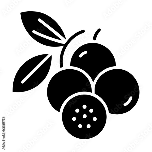 Silhouette of a cluster of ripe acai berries with leaves on vine