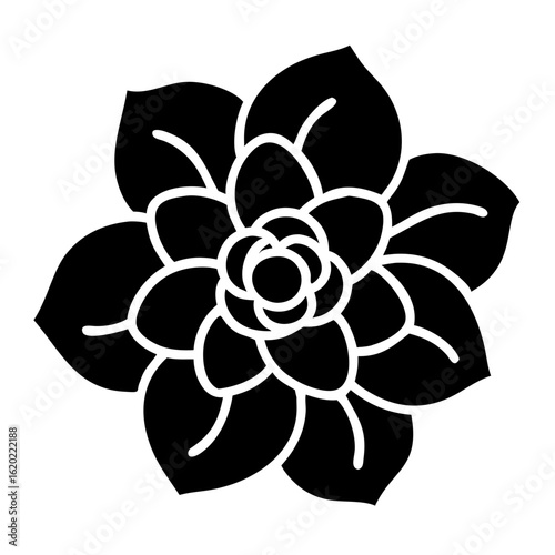 Stylized Black and White Succulent Plant Blossom Vector Illustration Design