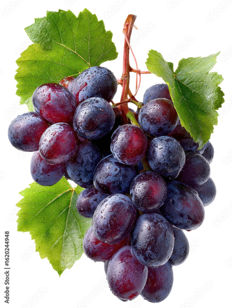 Fototapeta premium bunch of purple grapes with leaves