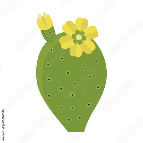 Fiore e fico d'india