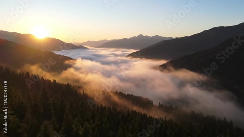 Aerial drone view of mist rising from a pine-covered mountain valley at sunrise, epic cinematic style