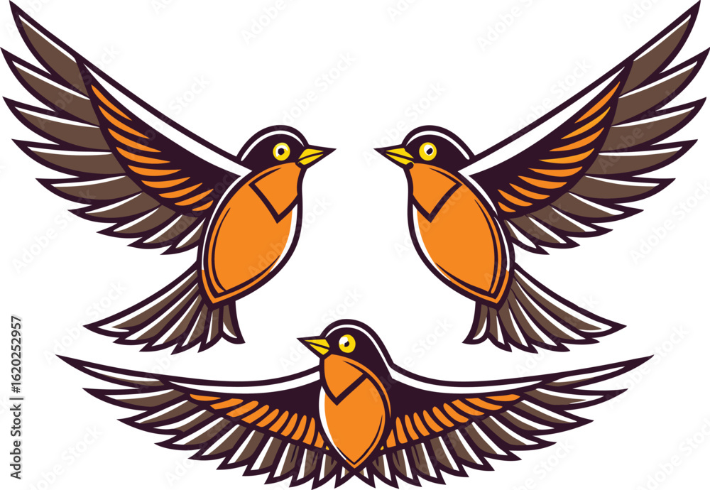 Obraz premium Three American robin vector illustration with open wings in flight formation