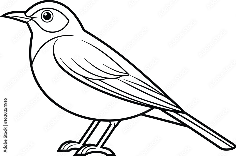 Obraz premium Stylized Bird Illustration Birdie Outline Drawing Simplicity Black And White Minimal vector illustration