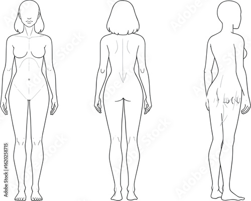 Cad drawing flat vector illustration, female body anatomy template, front back side view, medical reference guide, human figure outline, body proportions sketch, artistic mannequin model, realistic