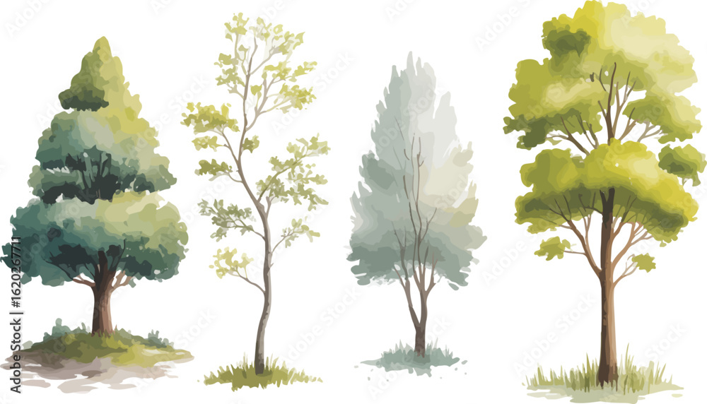 Fototapeta premium Vector illustration of four stylized watercolor trees in green and gray tones arranged in a horizontal line on a white background