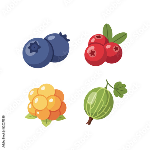 Assorted Berries and Gooseberry