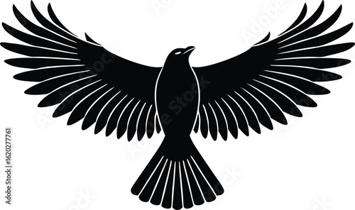 Bold Black Silhouette of a Majestic Bird American Robin Spreading Its Wings, vector illustration