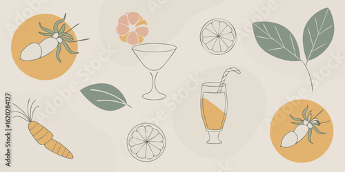 Minimalist illustration of fresh fruits vegetables and drinks