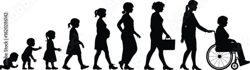 Female life stages silhouette, baby to elderly woman, woman growing up, woman aging process, girl evolution, life timeline vector, age progression concept