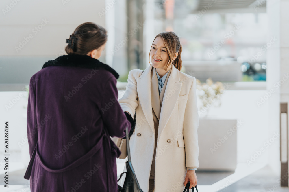 Fototapeta premium Two women in business attire meet and greet outdoors, shaking hands in a professional manner, symbolizing partnership, teamwork, and mutual commitment.