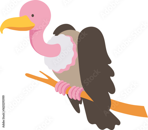 Wallpaper Mural vulture, Alphabet Animal Illustration, 대머리 독수리  Torontodigital.ca