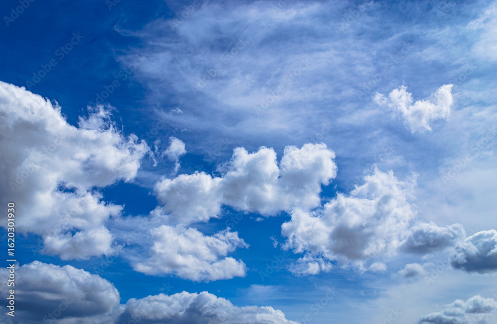 Fototapeta premium Magnificent cumulus clouds high in blue sky