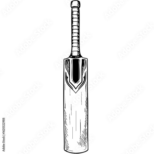 Vintage cricket bat sketch with detailed design and texture  
