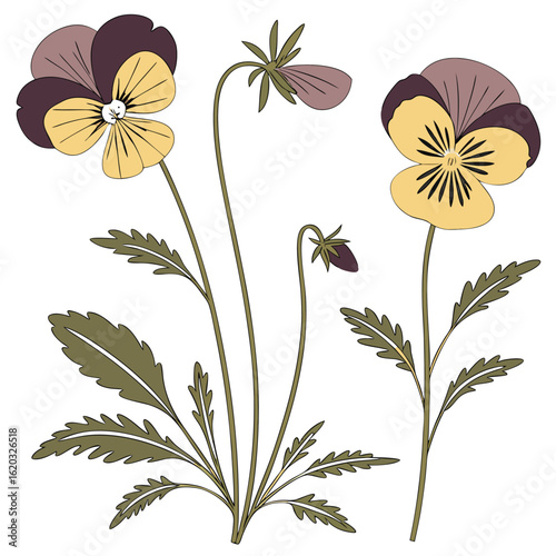 Elegant pressed flower botanical illustration set for artistic projects and nature designs