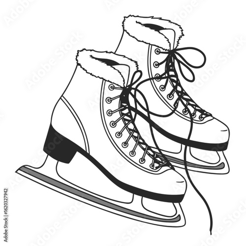 ice skates vector illustration