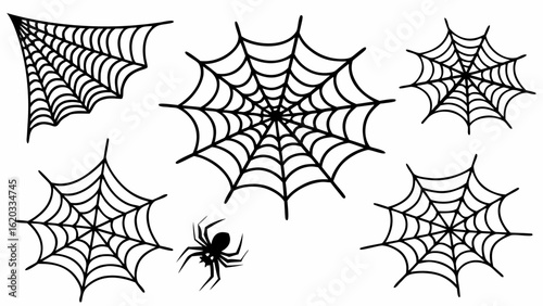 Illustration of multiple spiderwebs with varying shapes and a single spider on a white background