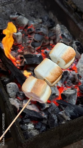 Wallpaper Mural A skewer with three machimelo on the hot coals of a barbecue Torontodigital.ca