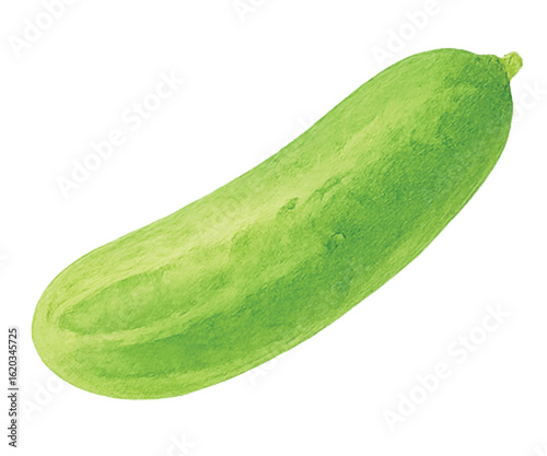 Thai Cucumbers on Transparent Background
