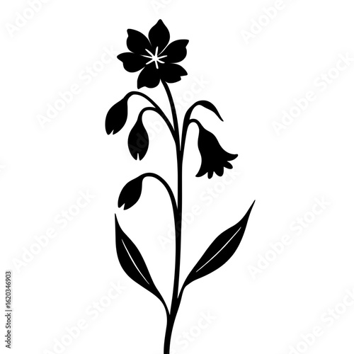Minimalist black silhouette of bellflower with delicate blooms on white background