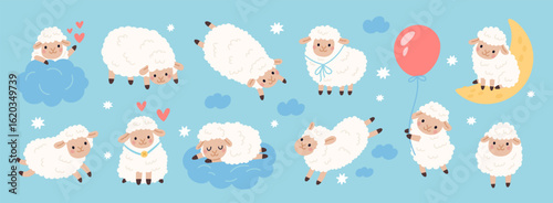 Cute sheep characters. Funny little farm animals, fluffy curly lambs, cartoon woolly mascot, different poses and actions, Hand drawn nursery decorative mammals, garish vector isolated set