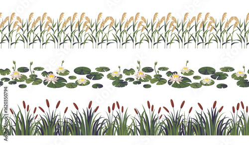 Reed borders. Pond or lake plants seamless lines, river wild botany, water flora leaf, swamp aquatic natural decorative isolated elements, summer landscape objects, tidy vector concept
