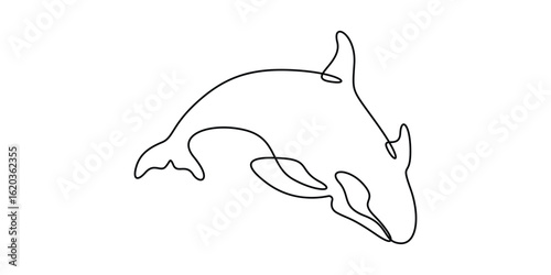 Continuous one line drawing of killer whale. Whale sketch logo concept. Doodle vector illustration