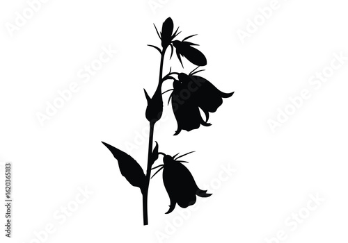 Vector illustration of a delicate bellflower silhouette with its slender stem leaves and blossoms creating a simple yet elegant design