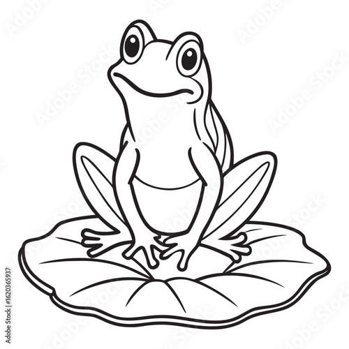 Charming hand drawn line art illustration of a frog peacefully resting on a water lily pad