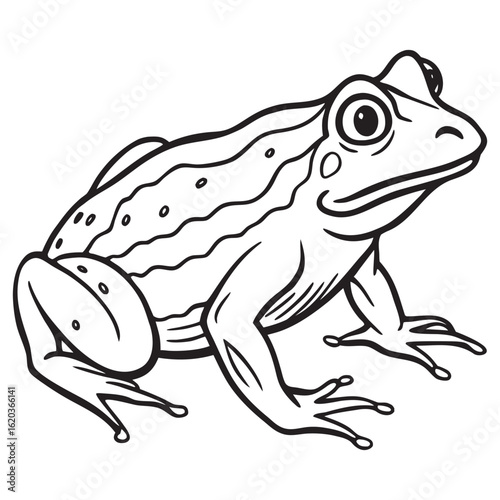 Charming hand drawn line art sketch of a frog resting peacefully on a water lily pad